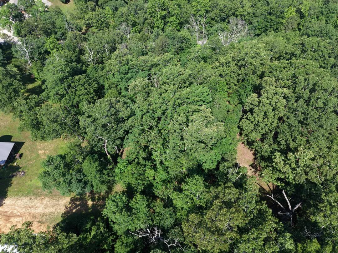 0.98+/-AC Residential Lot For Sale in Butler Co.