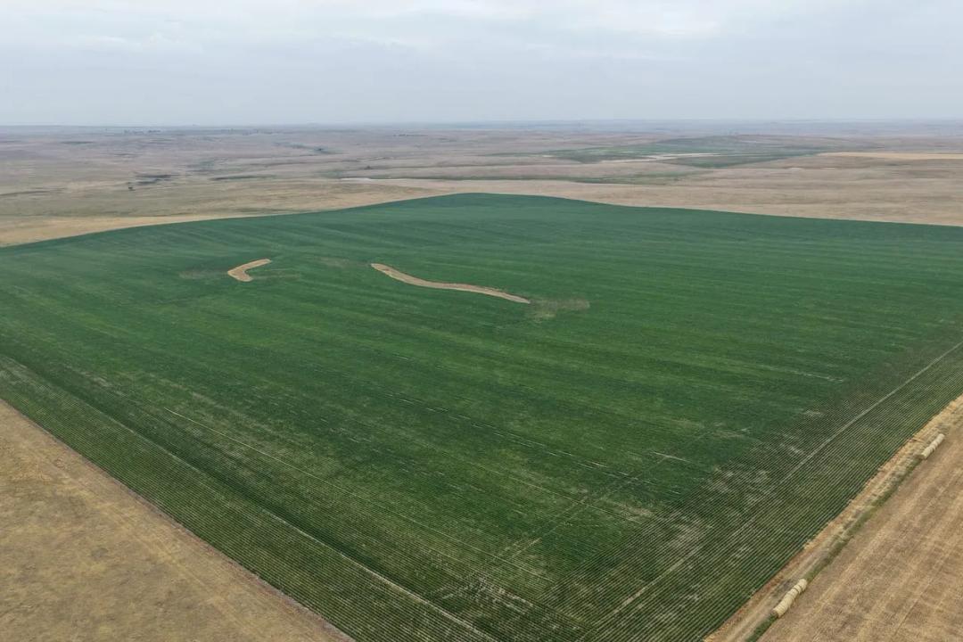Jackson County, SD 160 Acres