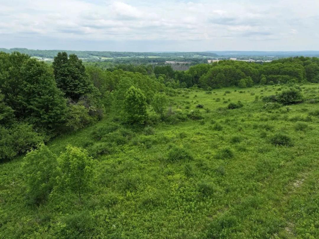 23 acres Hunting Land and Recreational Land with Building Lot in South Dayton NY Dye Road