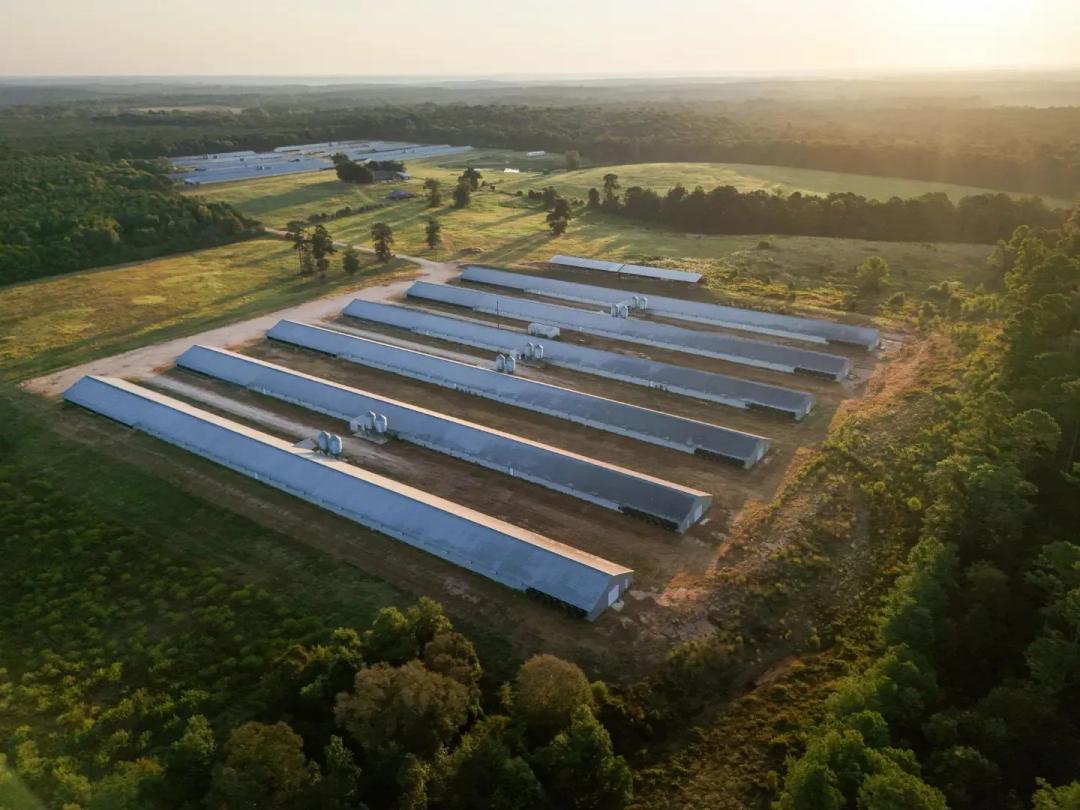 100 Acre Poultry Farm with Two Homes in Union Parish, LA