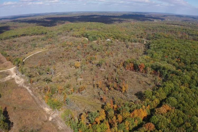 35.4 Acre Hunting Tract Morgan County Missouri