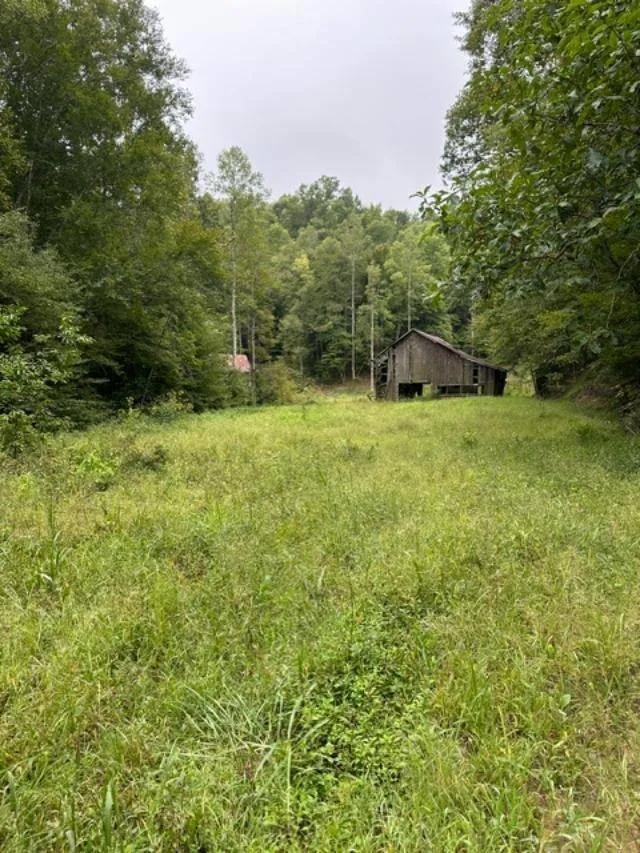 161+/-AC OFF GRID,GATED,PRIVATE,SECLUDED ELLIOTT CO.KY $359,900