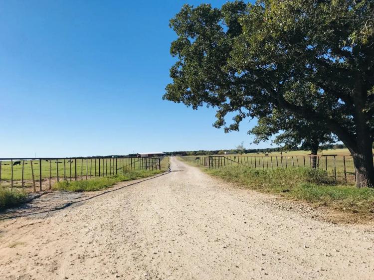 117+/- Acres CR 560