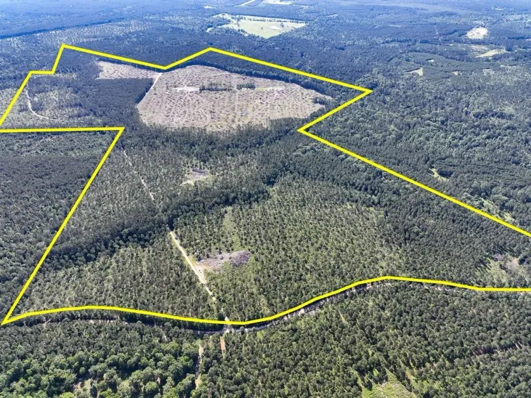 420 Acres | Fountain Creek Road | T-8
