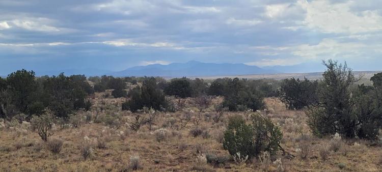 30 acre Central New Mexico Property Windmill Ranch Excellent Roads. Power at Road