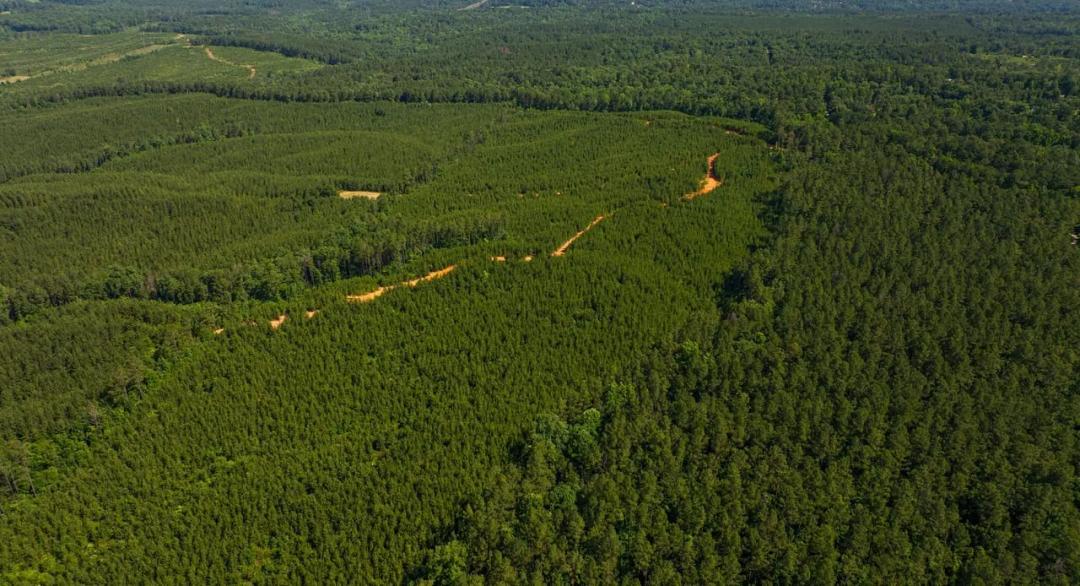 Grey Hill | 58 Acres in Bibb County, AL
