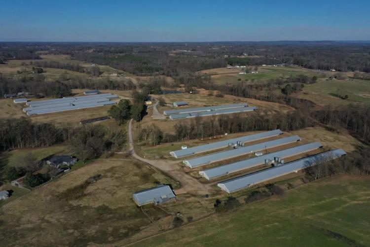 PENDING - Jackson Broiler Farm – 10 House Farm in Dekalb County, AL
