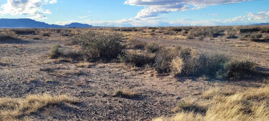 Residential Building parcel - 4 adjoining Lots 2 Full Acres - New Mexico