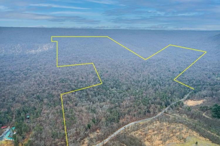248.00 Acres at WP001 Pine Swamp Rd