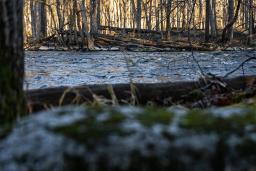 img_crw2