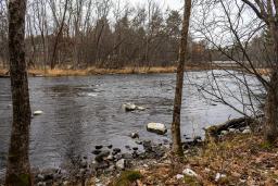 img_crw5