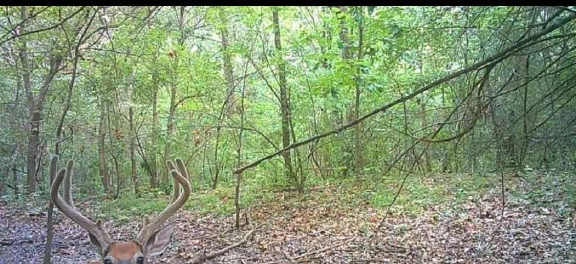 63552838-1
