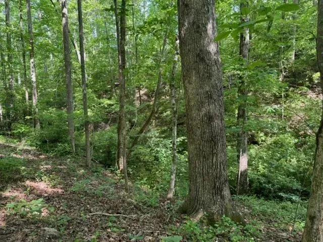 63564934-5