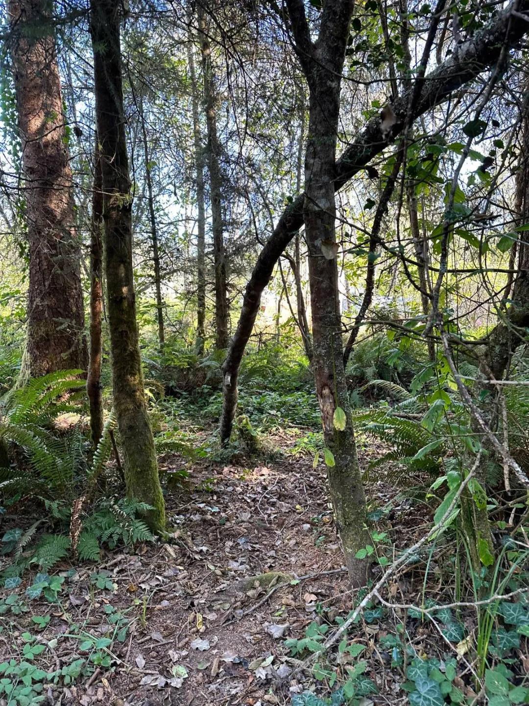 0.68 Acres at 0000 Spring/Pike St