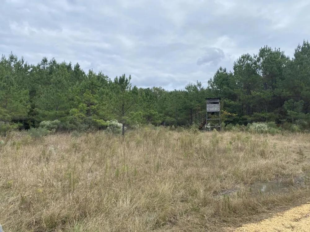 167.68 Acres at 0 Nova Jean Road