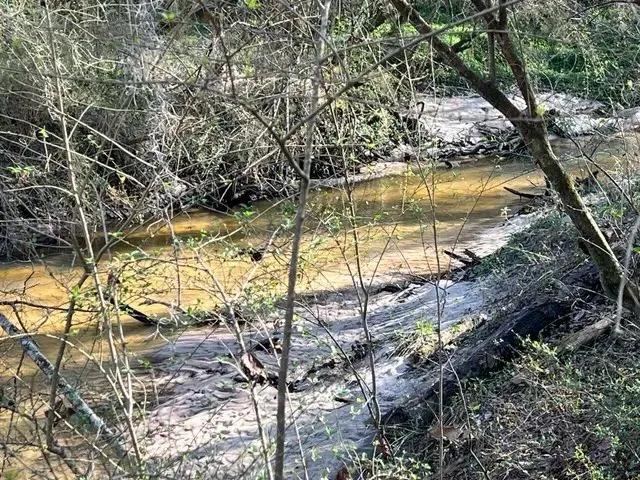 28+/- Recreation/Residential Land in Houston County
