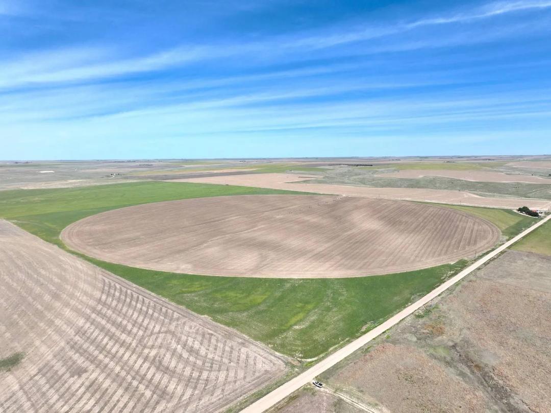 160± IRRIGATED CROPLAND - CHEYENNE COUNTY, KS