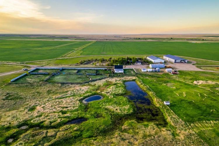 The Schellin Ranch