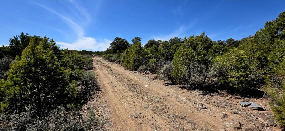 Unrestricted 1 acre in Taos County New Mexico