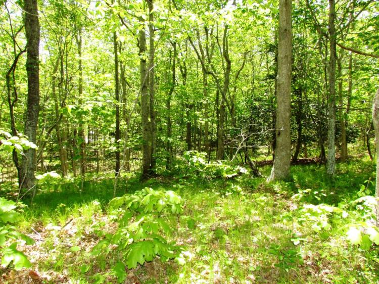 0.92 Acres at 86 Laurel Drive