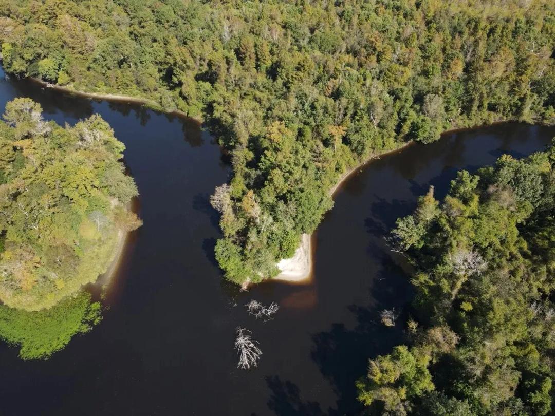 NorthEast Cape Fear River Hunting Land