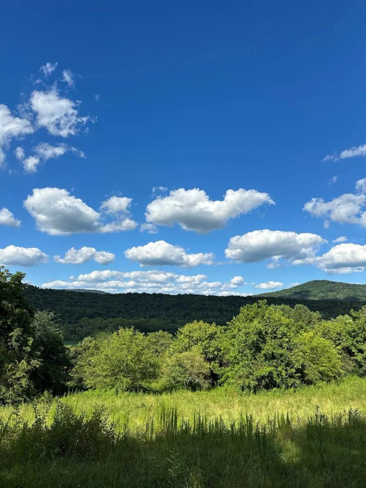 14 +/- acres in the BattleCreek community