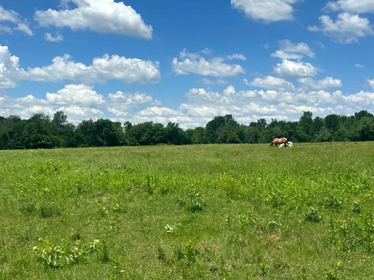 22 Acres – Fenced Pasture with Pond in Soper, OK