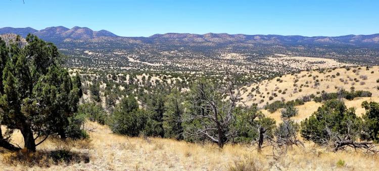 Huge 360 Degree Views on the Ridge - 20 Acres Magdalena Area