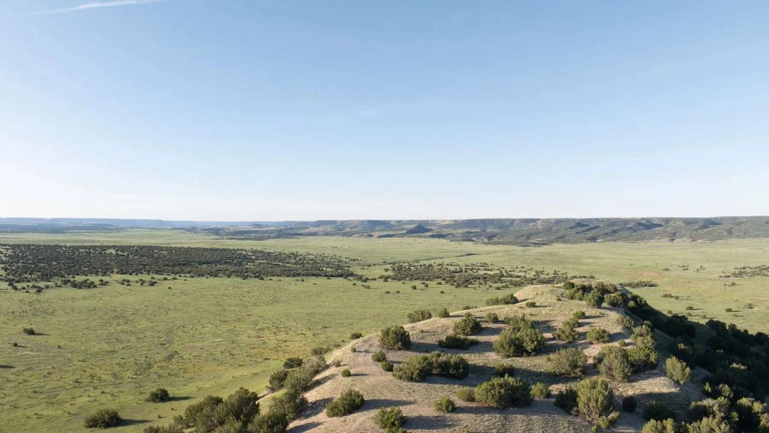 Y4 Ranch