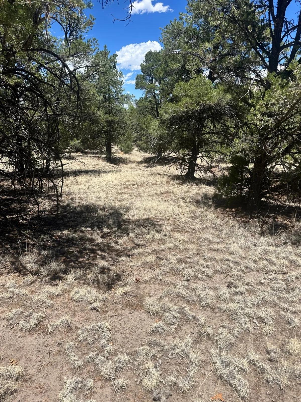 63784365-3