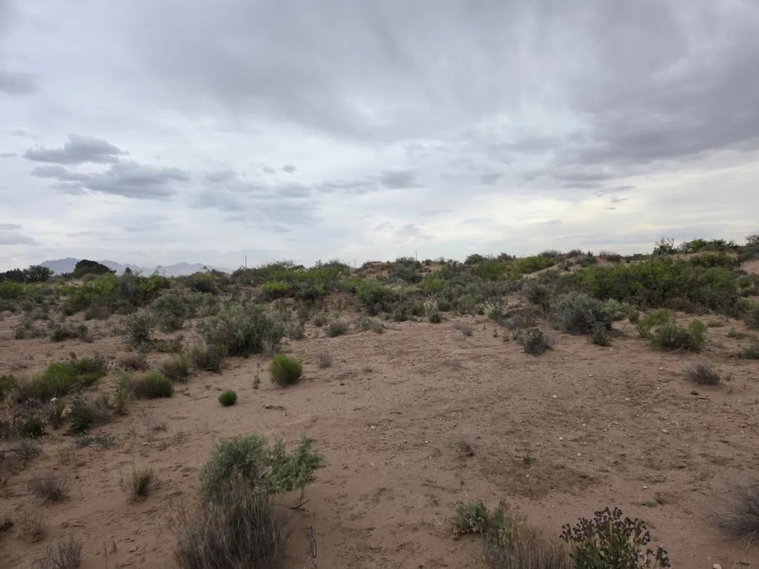 Deming New Mexico Land for sale. North side of Deming. Near Hatch Highway.