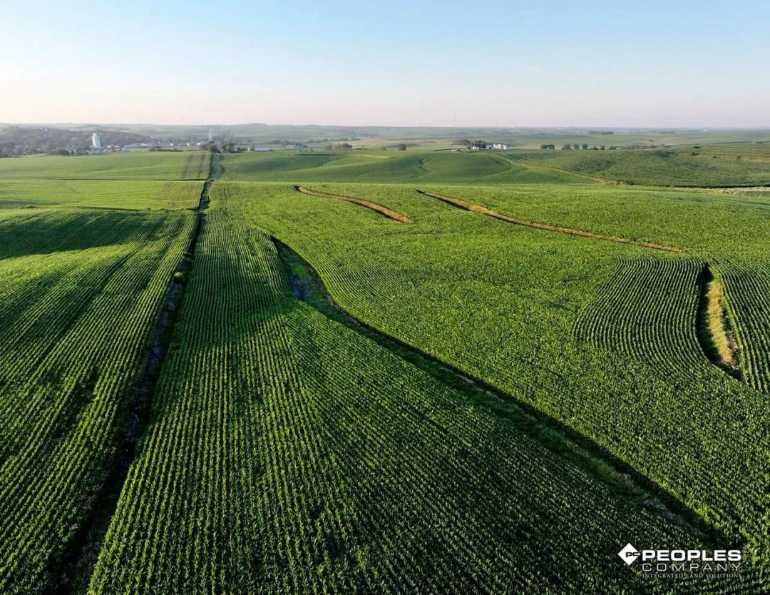 Listing #18482 - 117.76 acres in Crawford County, IA