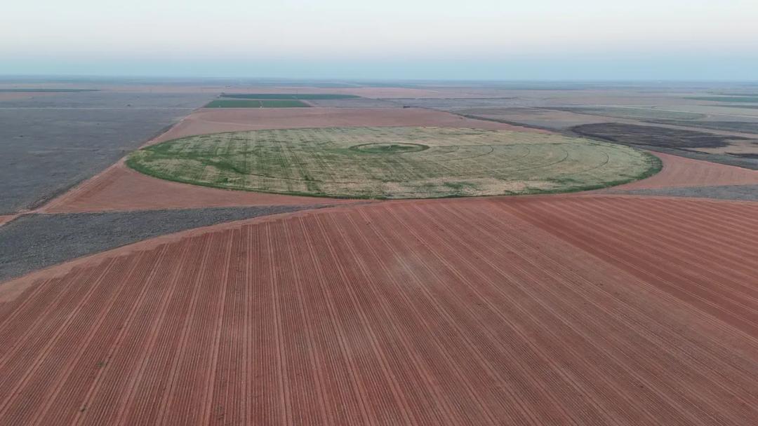 640± Acres Yoakum County