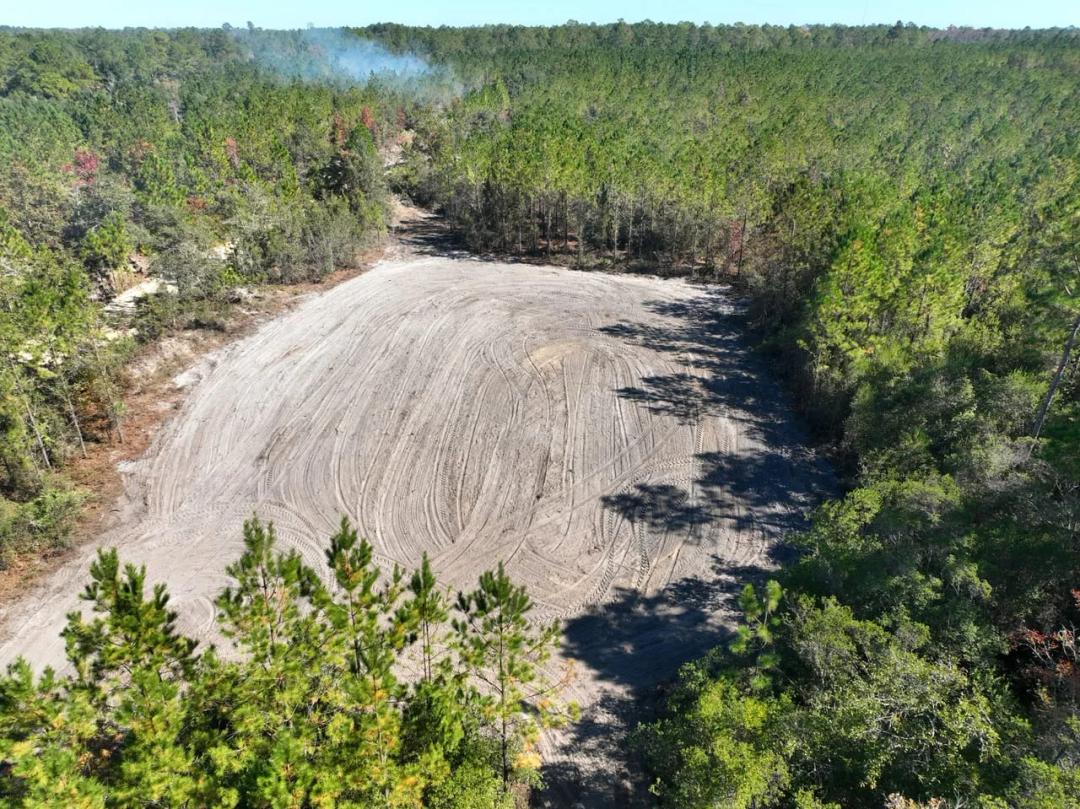 102+/- Acres Land for Sale in Brantley County, GA