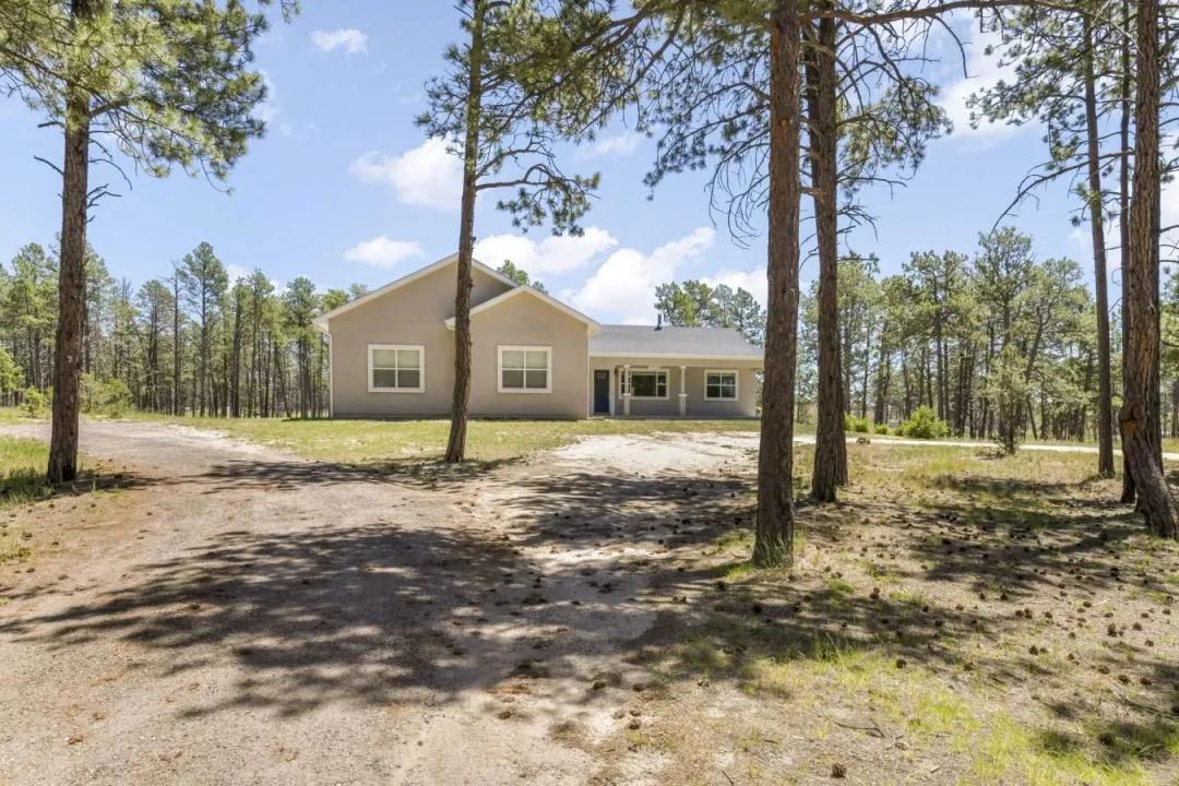 Black Forest Retreat
