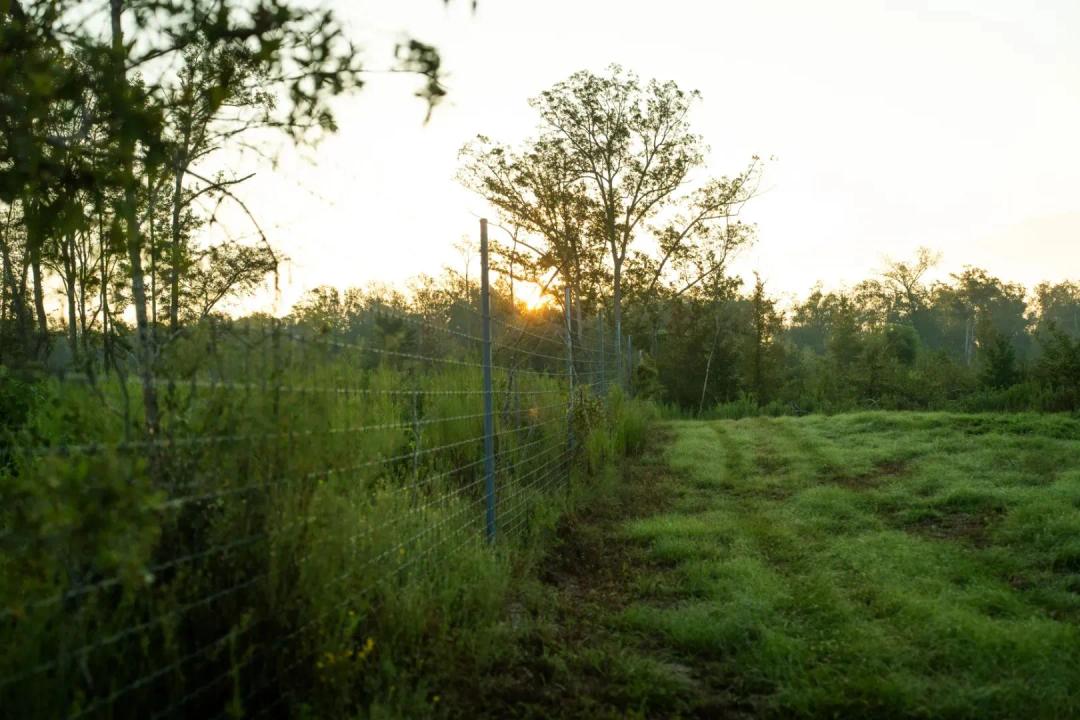 678 Acres with a Lodge in Jackson Parish, LA 