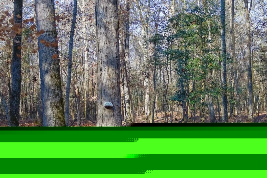 Hunting and Homeplace five minutes from Cochran