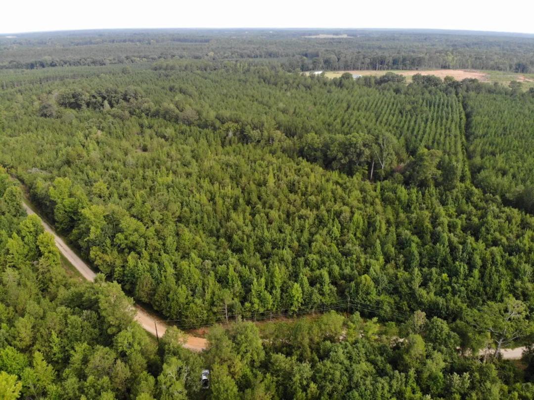 6.73 Acres at 0 Chenault Drive, Tract B