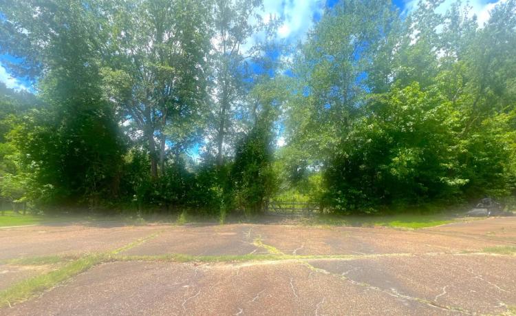 Lot 10 Carson Circle