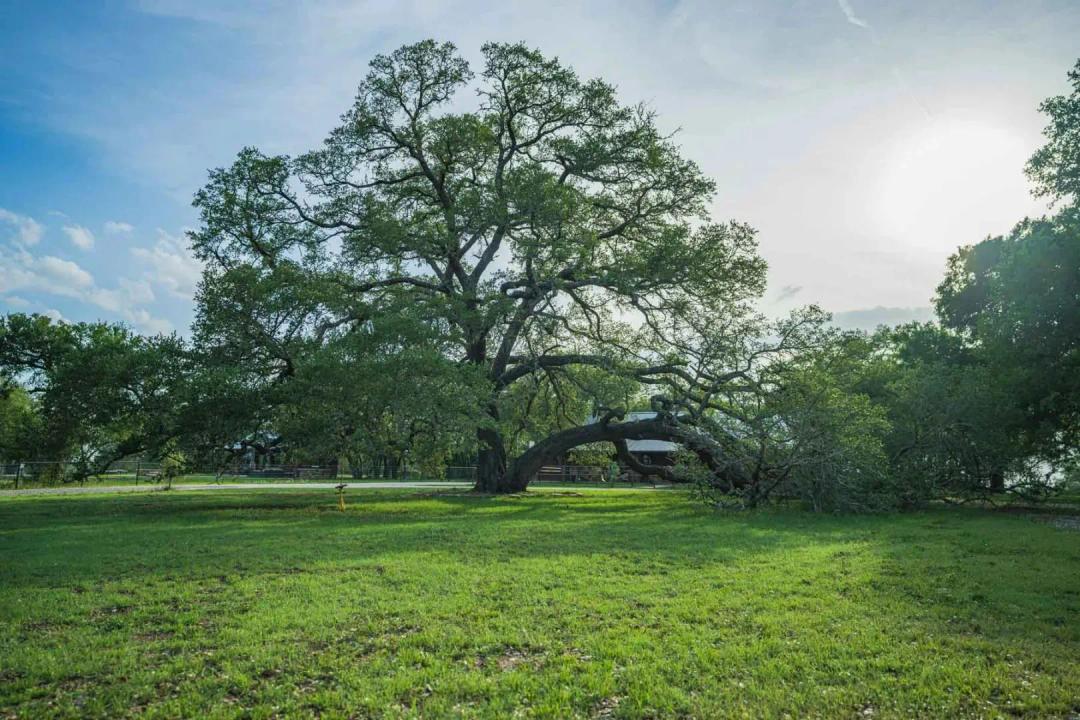Lockhart Hills Ranch
