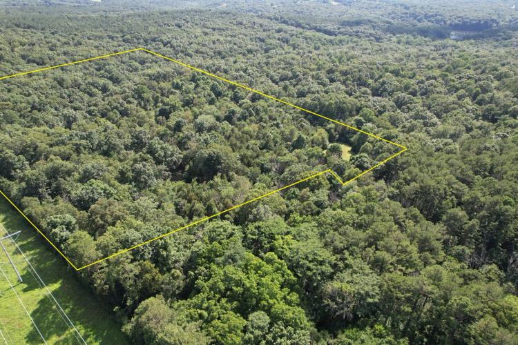 19.00 Acres at 000 Recreation Rd