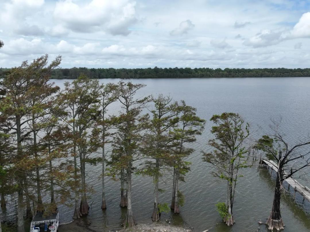 Moon Lake Lot