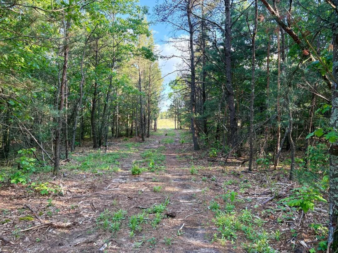 38 Secluded Acres in Eau Claire County