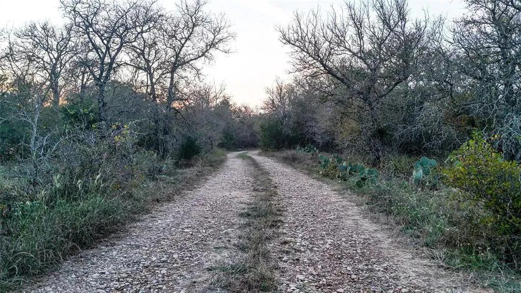 137 Shady Oaks Loop, Cedar Creek, Texas 78612