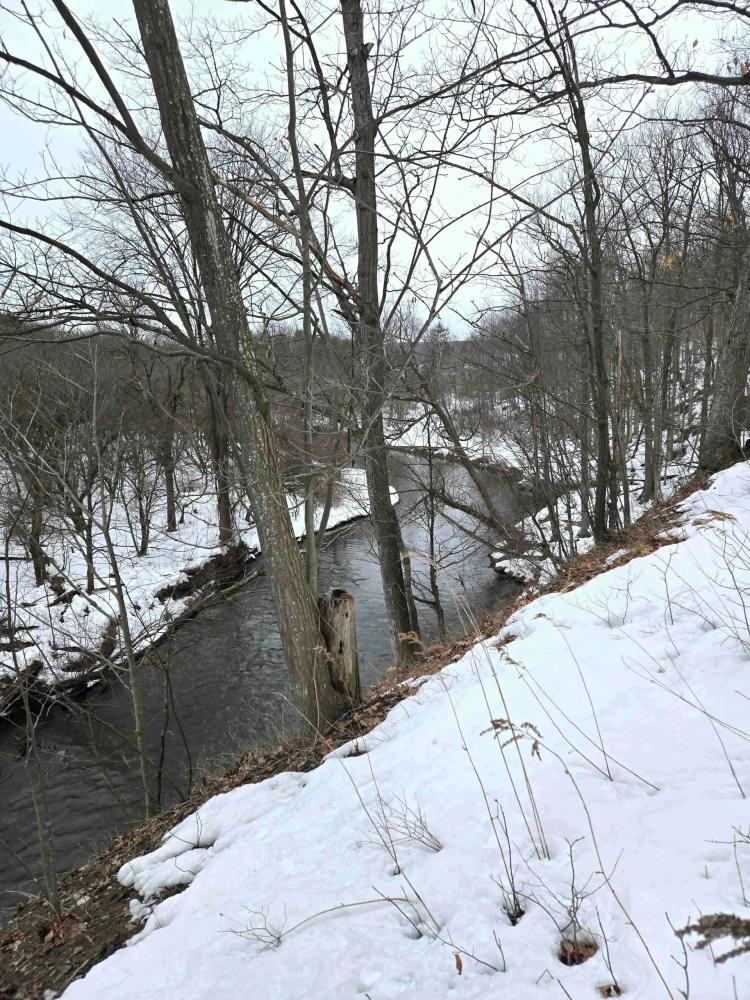 Fishing Land and Recreational Land with Creek on 6 acres in Pike NY North Water St