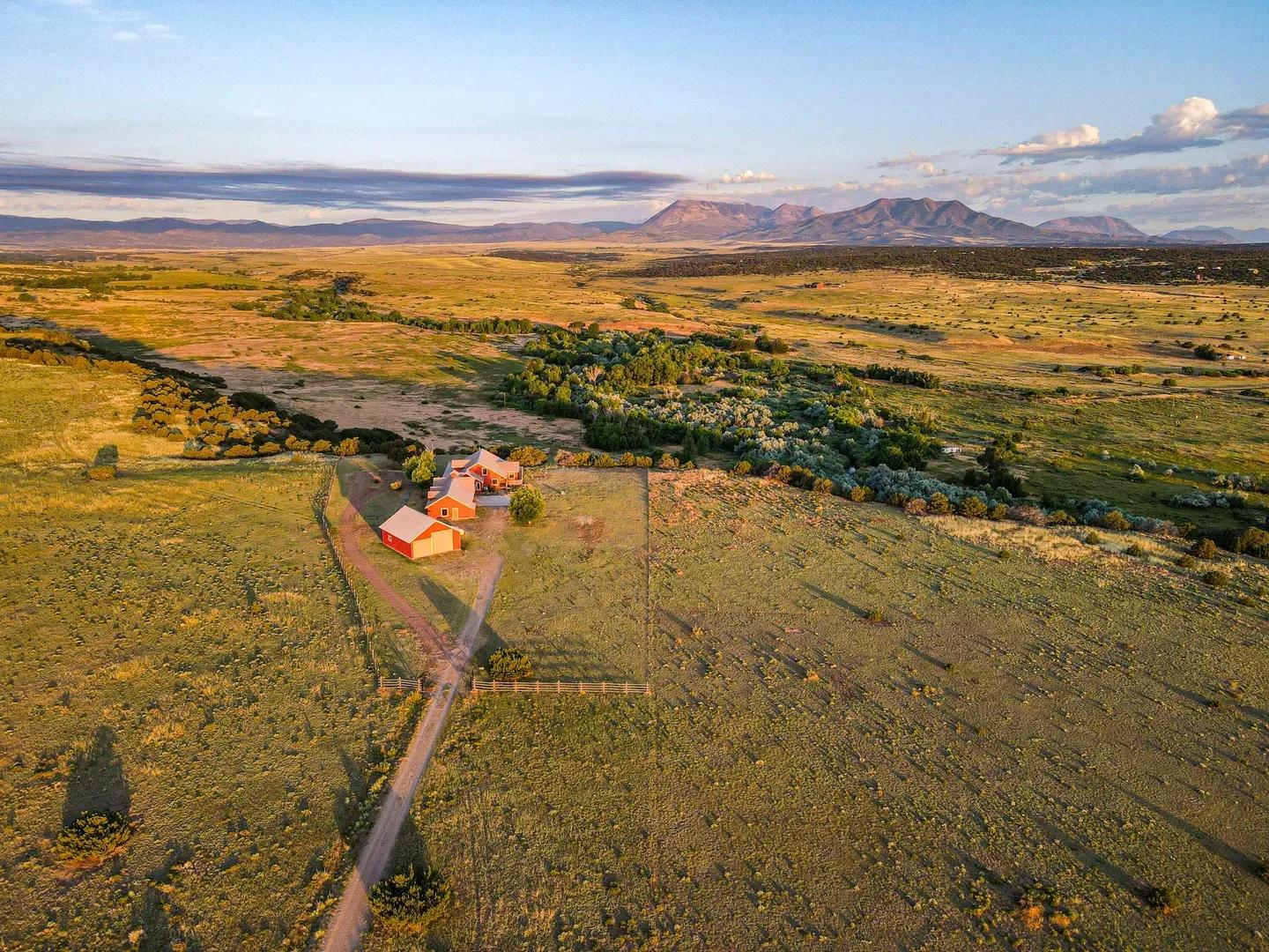 64050882-6