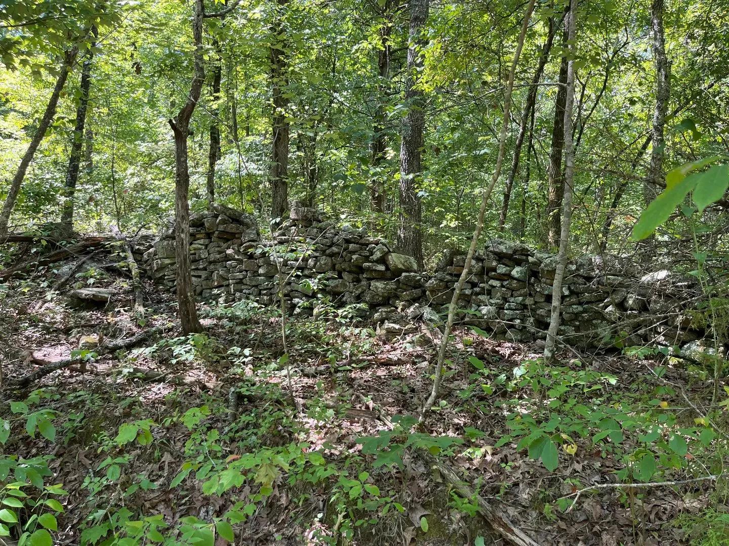 64079074-24