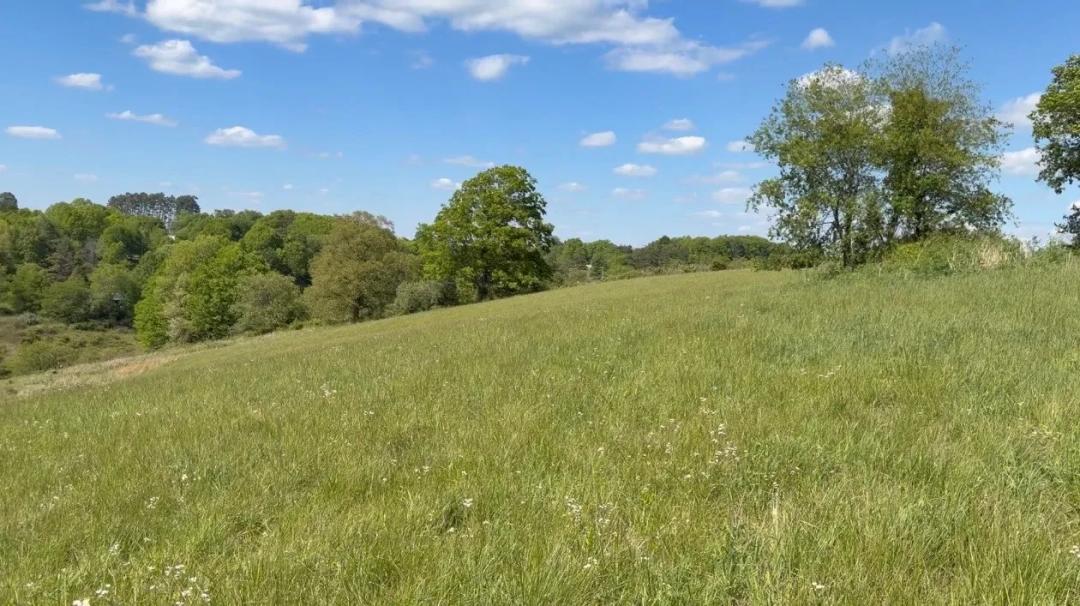 Premier Hunting &amp; Recreational Paradise on 456± Acres