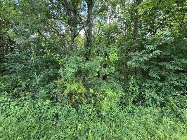 20 Acres of Prime Recreational &amp; Residential Land - Clinton Coun