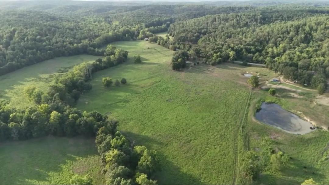 000 U Highway Piedmont, MO- Wayne Co. 126+/- Acres